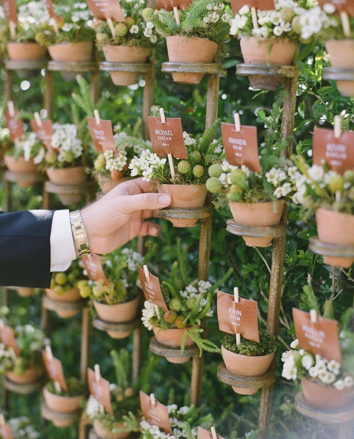 Small terracotta herb pots with name tags arranged on a rustic metal stand.