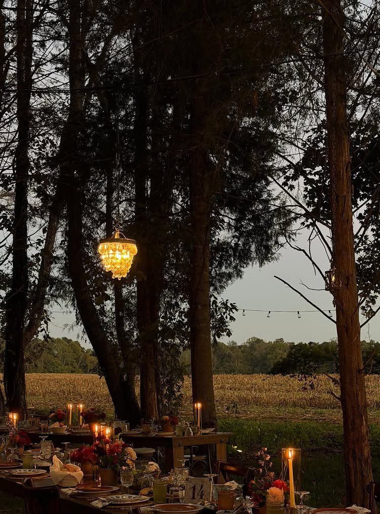 Outdoor wedding dinner table with a hanging chandelier and candles under tall trees.
