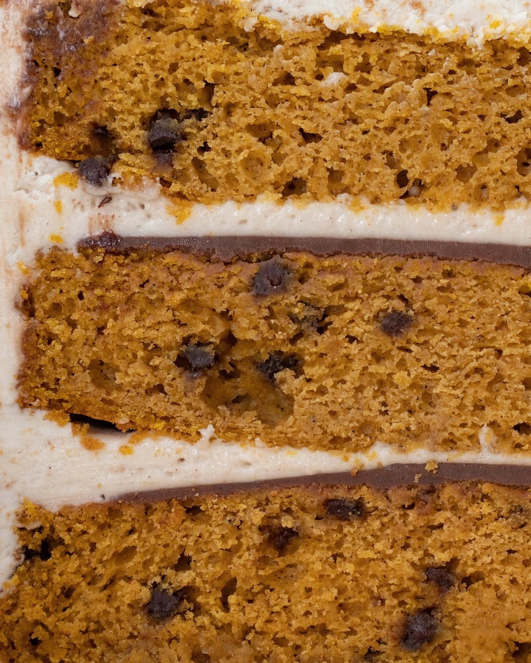 Pumpkin cake layers with chocolate chips and white cream frosting filling.