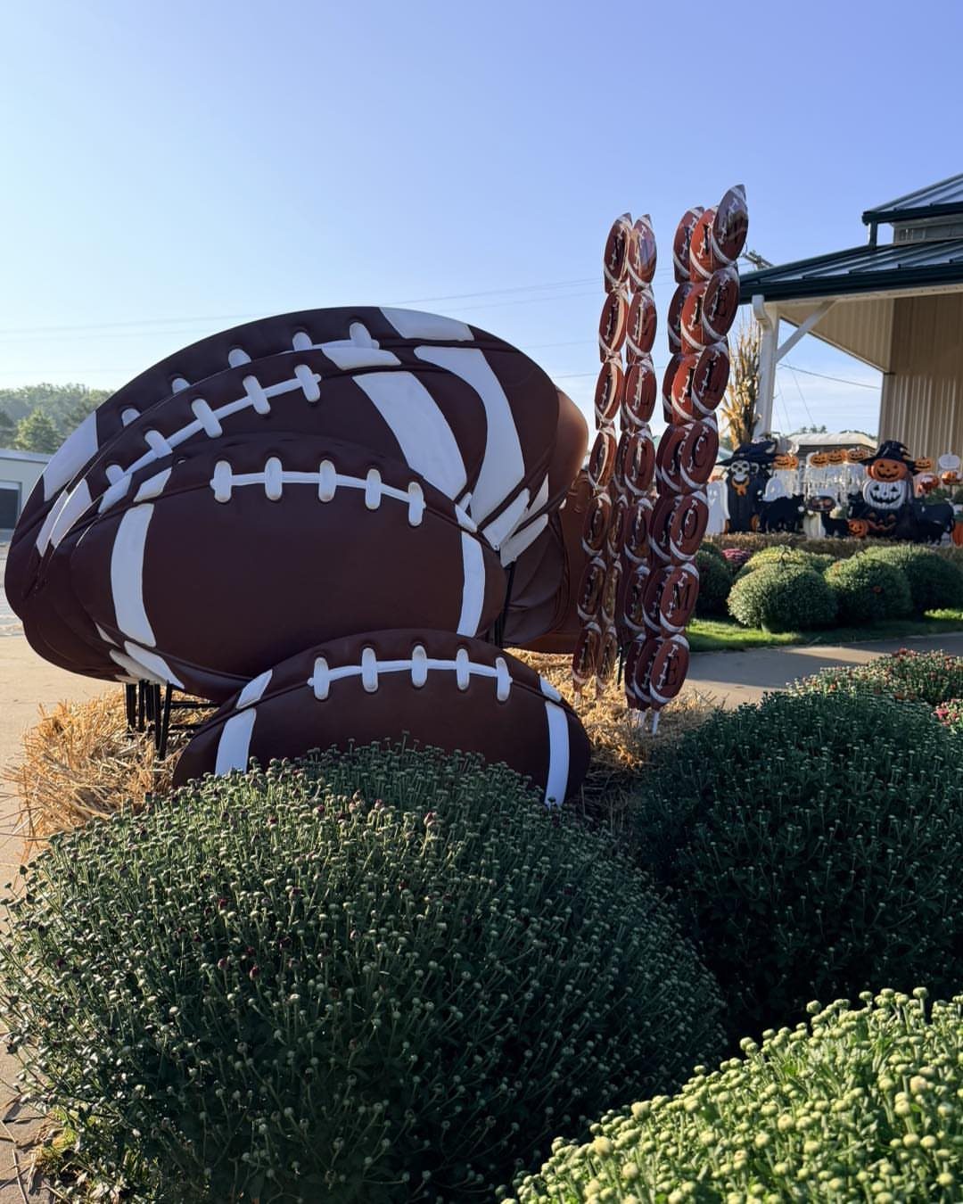 Large inflatable footballs clustered together outdoors surrounded by green manicured shrubs.