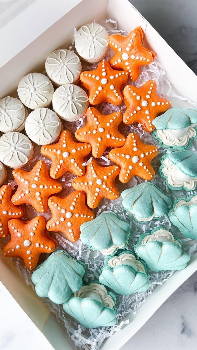 Sea-themed cookies shaped like sand dollars, starfish, and shells in a white box.