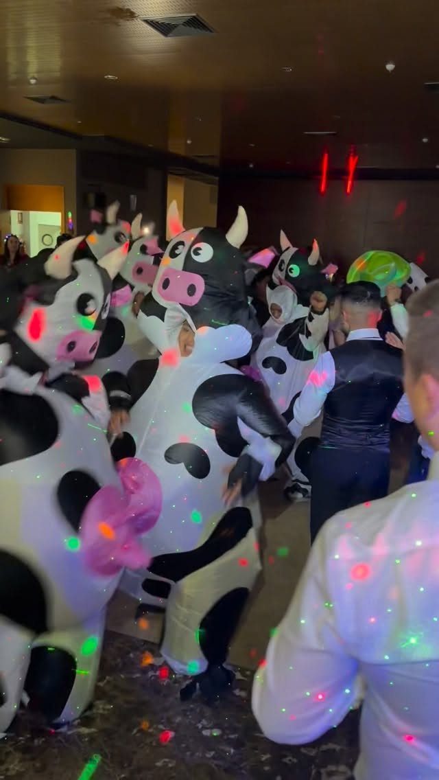 People in inflatable cow costumes dancing under colorful disco lights at a party.