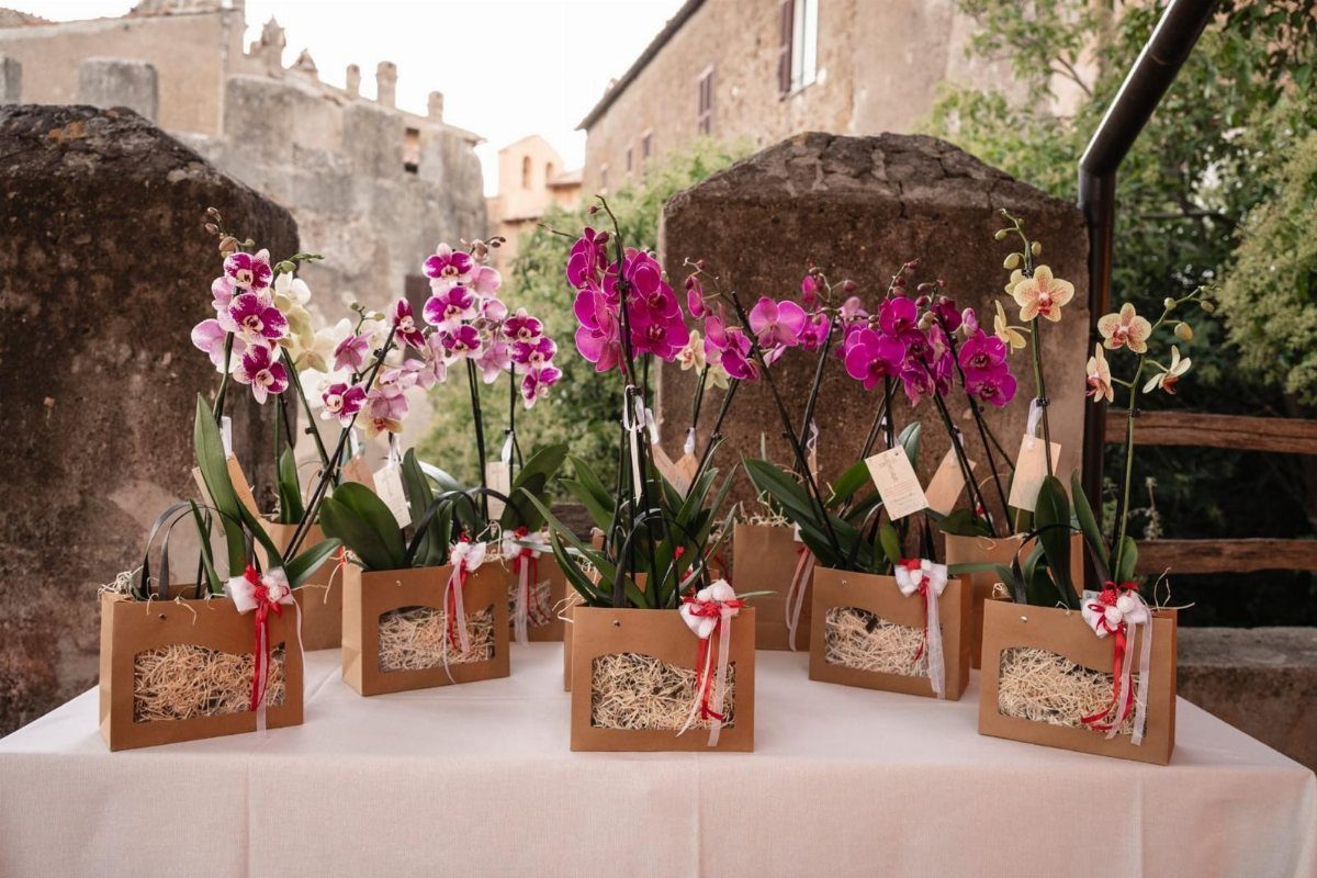 Small orchid plants in brown gift boxes with ribbons on a white table.